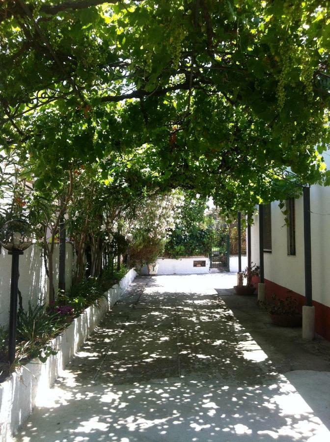 Casa Vacanze Paestum - Cilento Екстер'єр фото